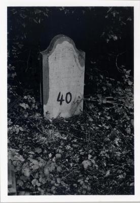[VIDE]