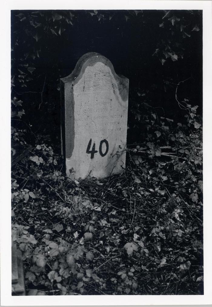 [VIDE]
