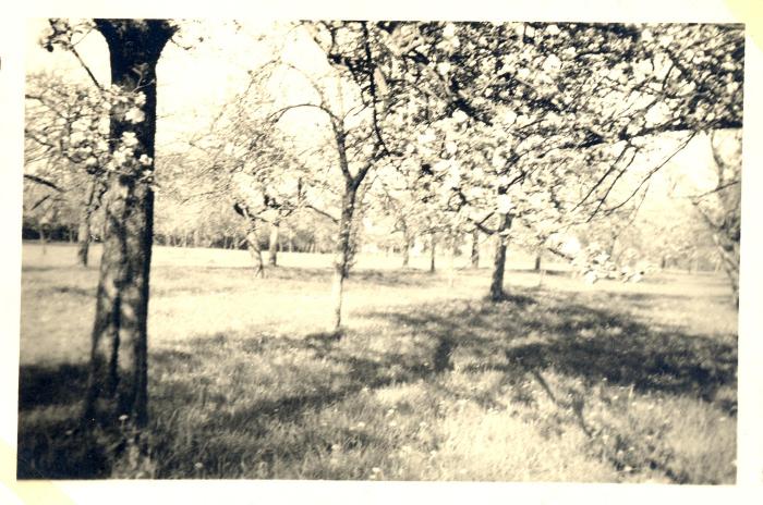 [VIDE]