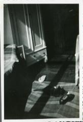 [VIDE]
