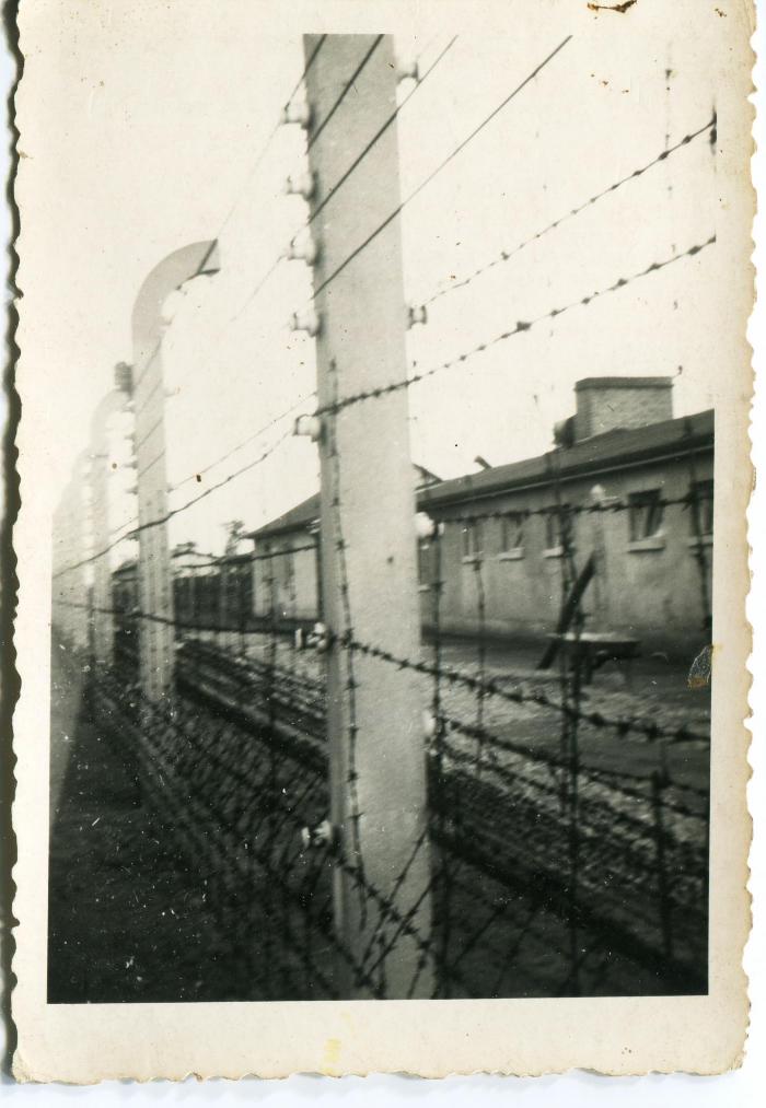 [VIDE]