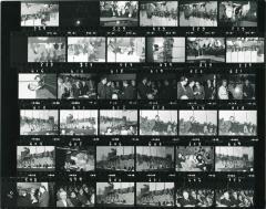 [VIDE]
