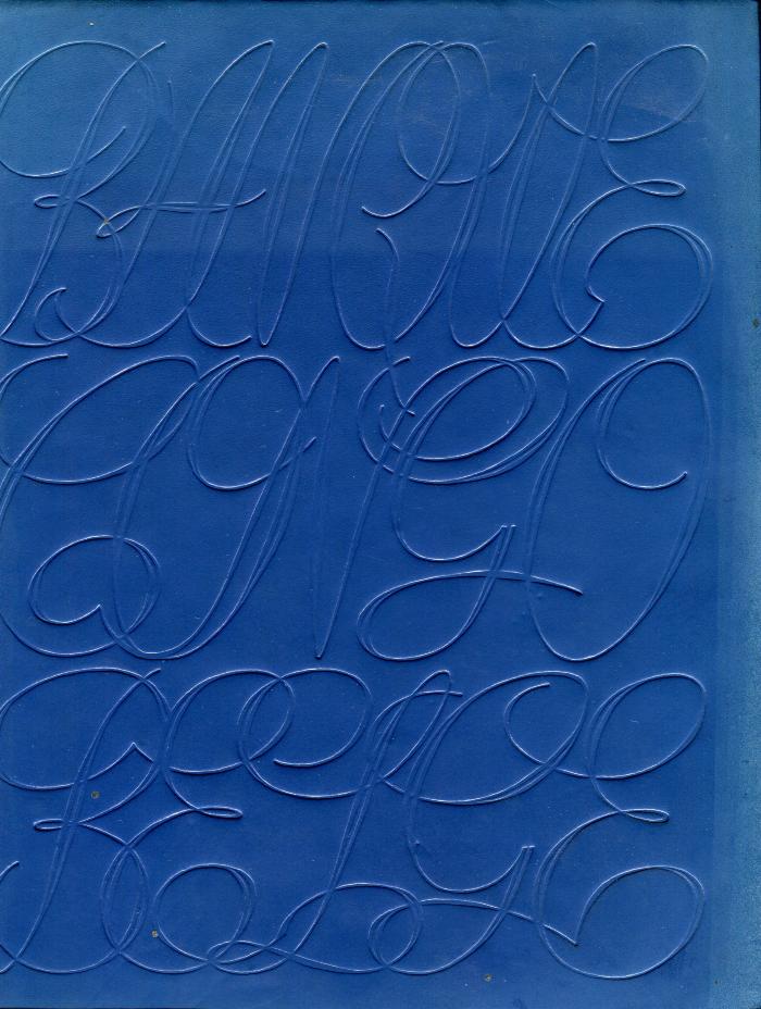 Banque du Congo belge