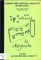 En relisant la meguila d’après Rav Binyamin Shaul Ringer