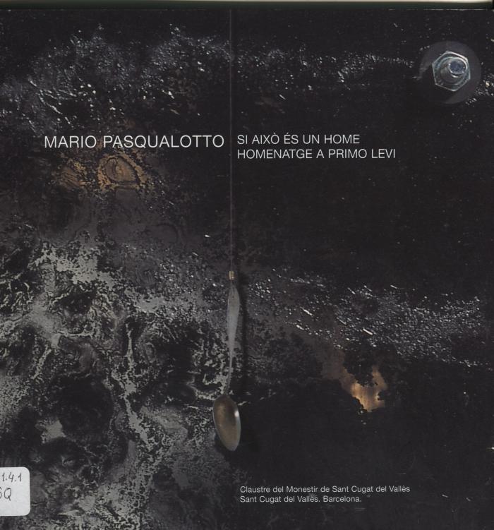 Mario Pasqualotto