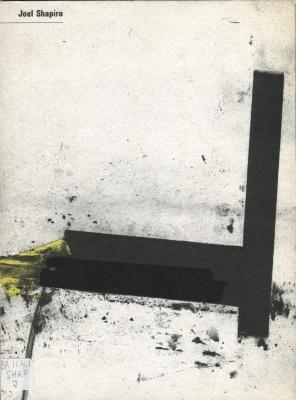 Joel Shapiro