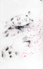 [VIDE]