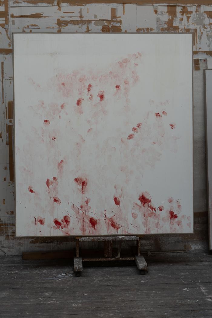 [VIDE]