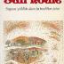 Sail'houle