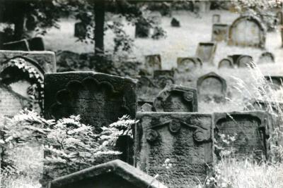 [VIDE]