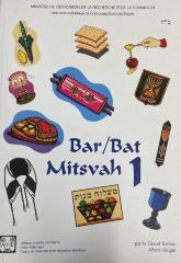 Bar/Bat Mitsvah 1