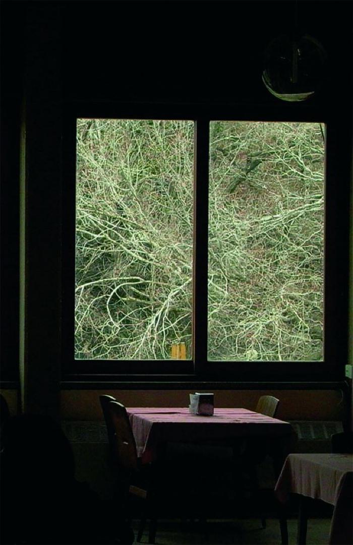 [VIDE]